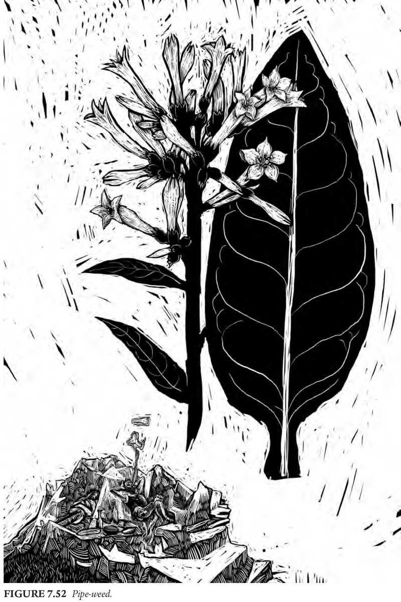 Illustration for article titled Everything You Never Thought You Needed to Know About Pipe-Weed in Middle-Earth